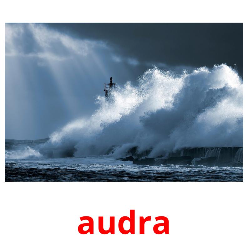 audra picture flashcards
