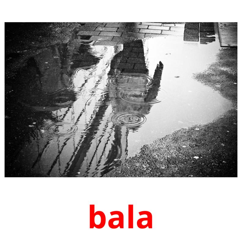 bala picture flashcards