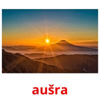 aušra card for translate