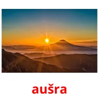 aušra Bildkarteikarten