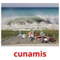 cunamis карточки энциклопедических знаний