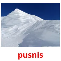 pusnis Bildkarteikarten