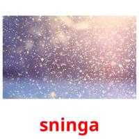 sninga card for translate