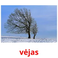 vėjas Bildkarteikarten