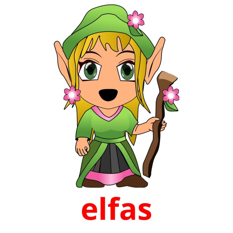 elfas picture flashcards