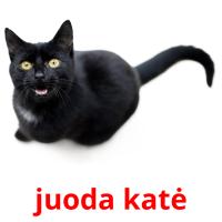 juoda katė card for translate