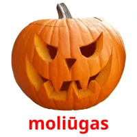 moliūgas cartões com imagens