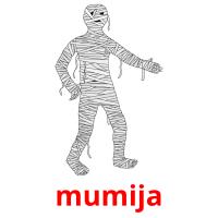 mumija card for translate