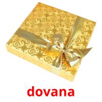 dovana picture flashcards