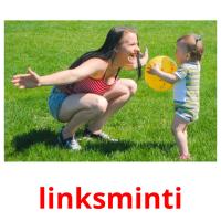 linksminti picture flashcards