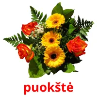 puokštė cartões com imagens