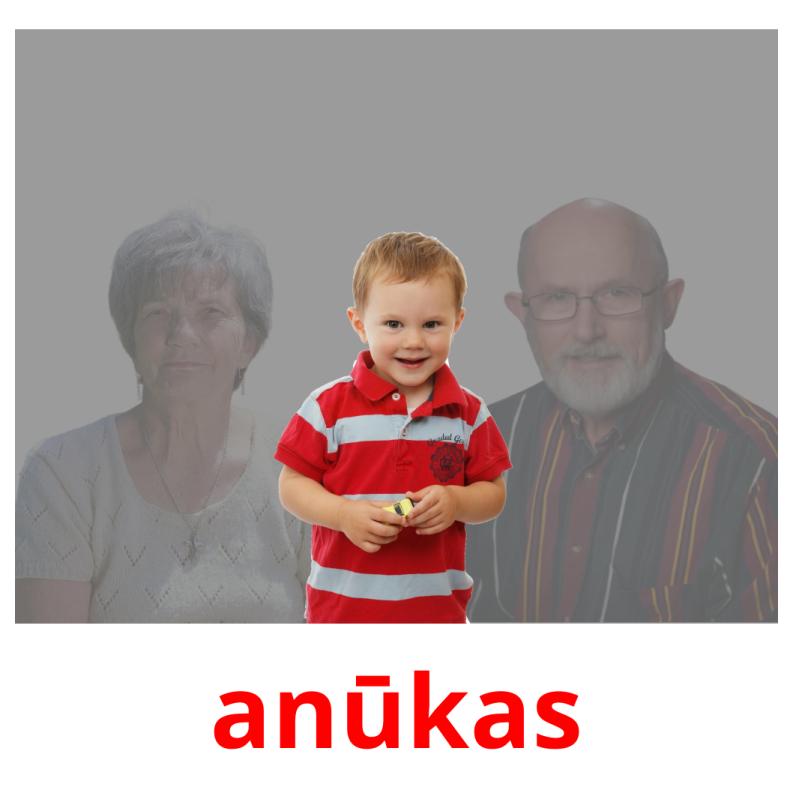 anūkas picture flashcards