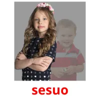 sesuo cartões com imagens