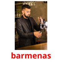 barmenas picture flashcards