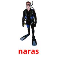 naras picture flashcards