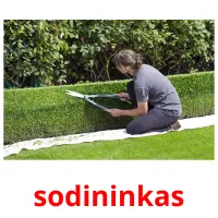 sodininkas cartões com imagens