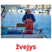 žvejys cartões com imagens