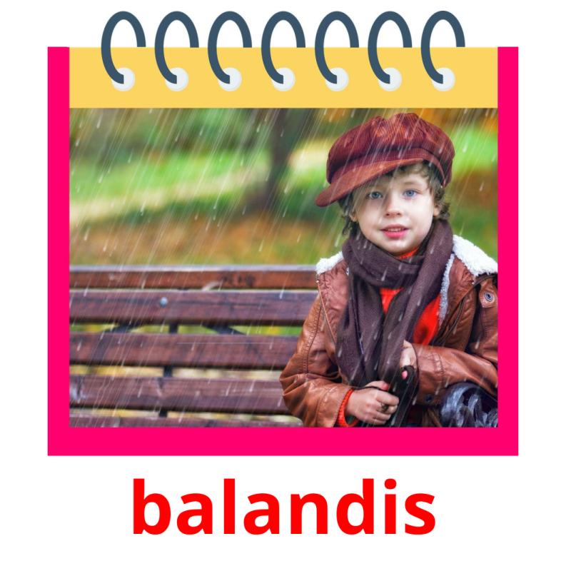 balandis picture flashcards
