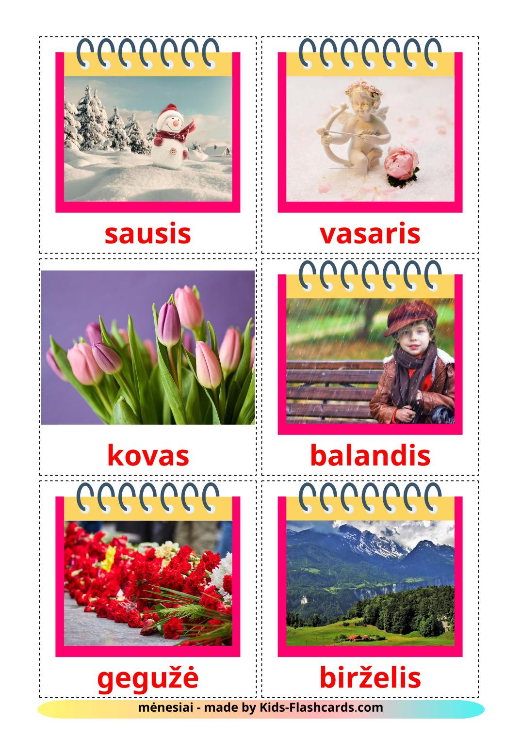 Les Mois de l'année - 12 Flashcards lituanien imprimables gratuitement