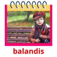 balandis card for translate