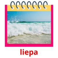 liepa picture flashcards