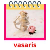 vasaris card for translate