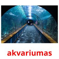 akvariumas card for translate