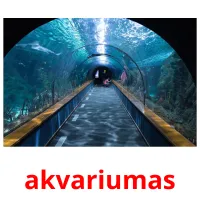 akvariumas Bildkarteikarten