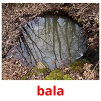 bala Bildkarteikarten