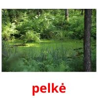 pelkė Bildkarteikarten