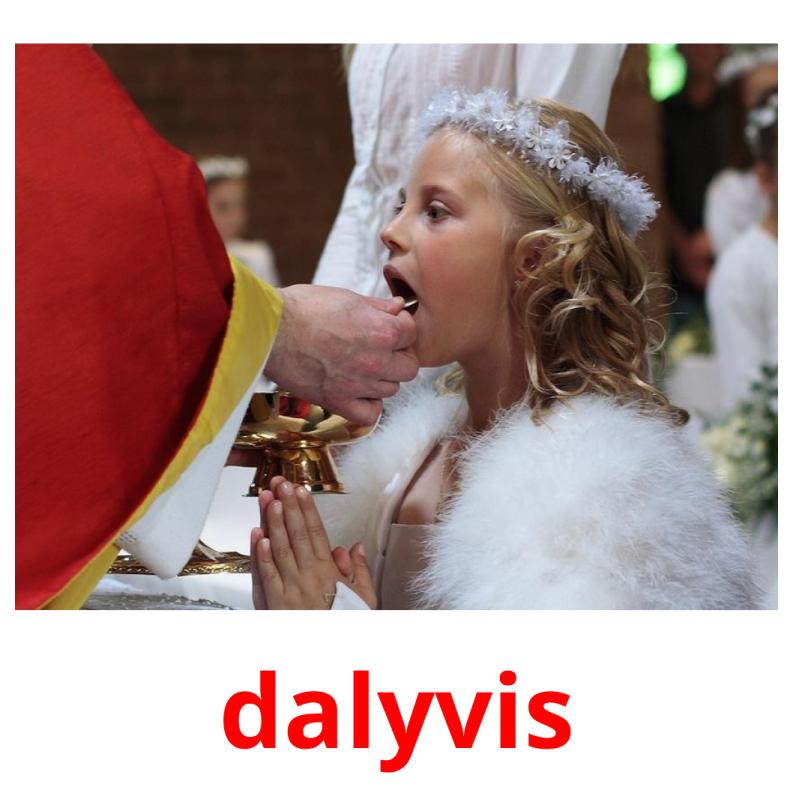 dalyvis picture flashcards