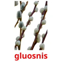 gluosnis ansichtkaarten