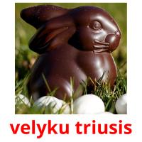 velyku triusis picture flashcards