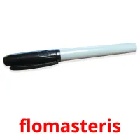 flomasteris cartes de vocabulaire