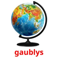 gaublys cartes de vocabulaire