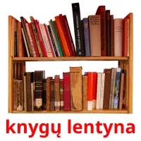 knygų lentyna cartes de vocabulaire