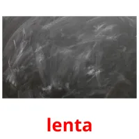 lenta cartes de vocabulaire