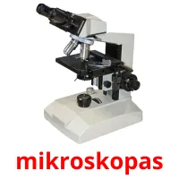 mikroskopas cartes de vocabulaire