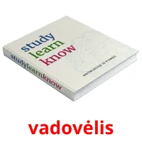 vadovėlis cartes de vocabulaire