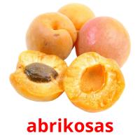 abrikosas picture flashcards