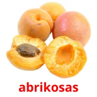 abrikosas Bildkarteikarten