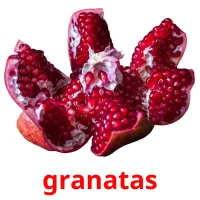 granatas Bildkarteikarten