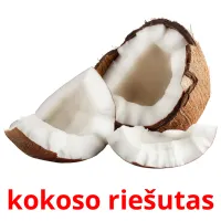 kokoso riešutas Bildkarteikarten