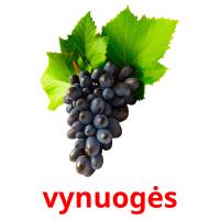 vynuogės card for translate