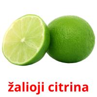 žalioji citrina flashcards illustrate