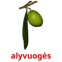 alyvuogės Bildkarteikarten