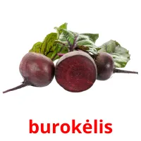 burokėlis Bildkarteikarten