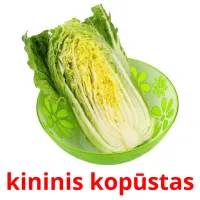 kininis kopūstas Bildkarteikarten