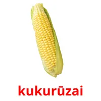 kukurūzai Bildkarteikarten