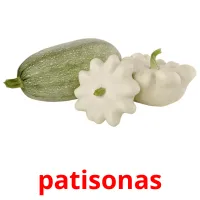 patisonas Bildkarteikarten